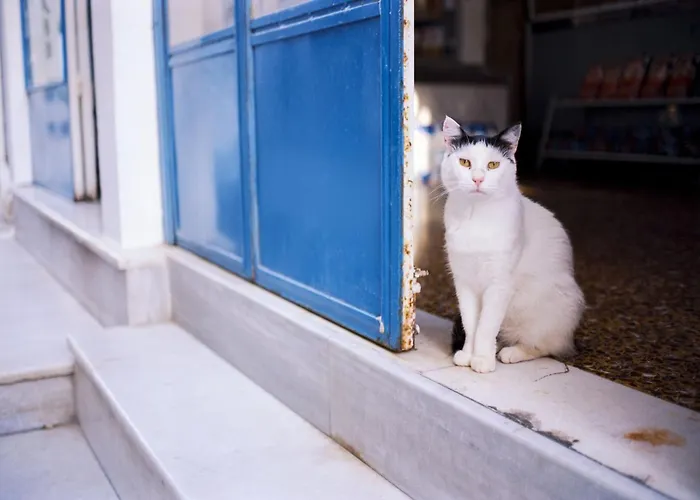 Beautiful Paros 1 Bedroom Aura Beautiful Interior Livadia (Paros)